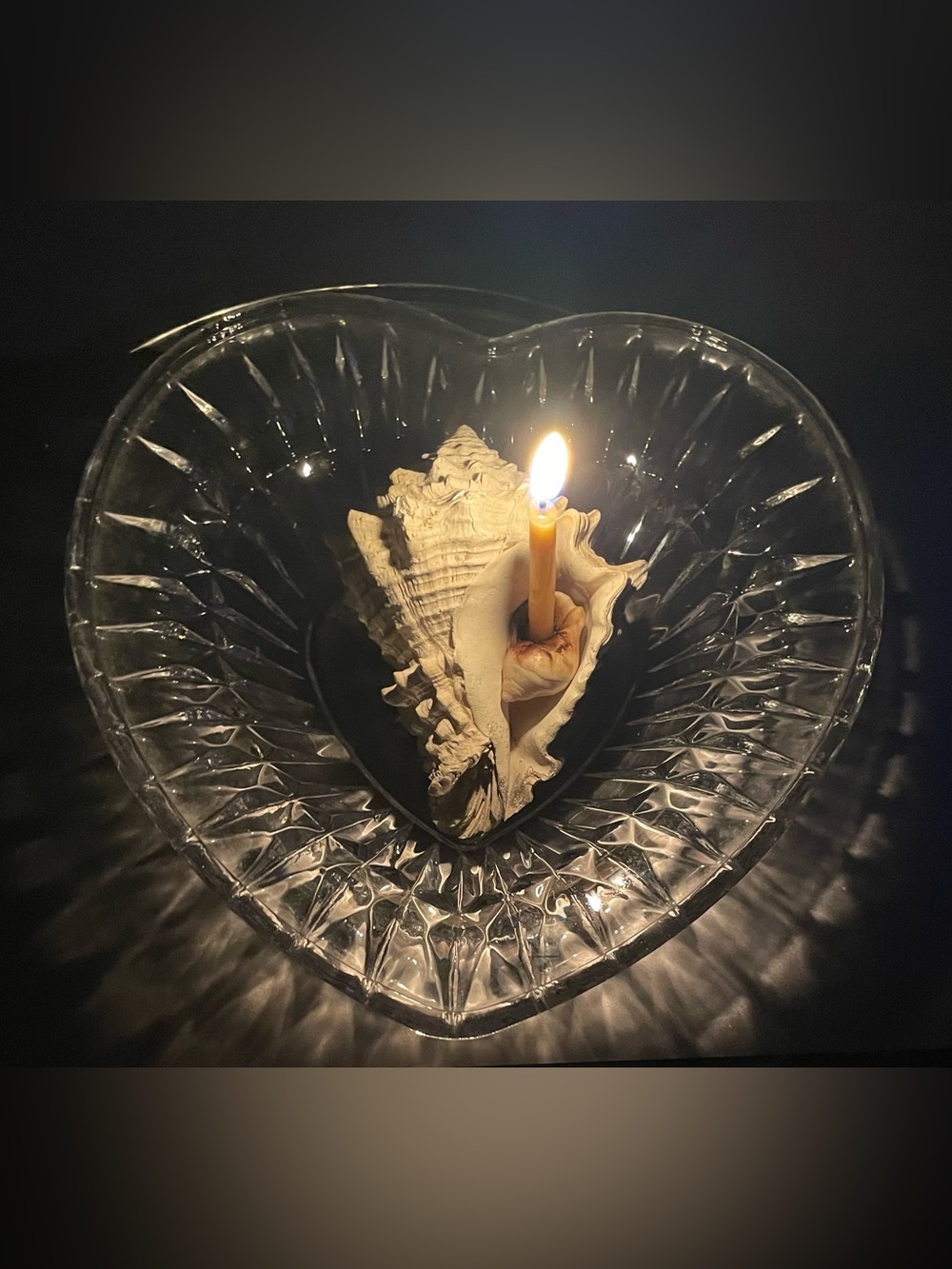 Shell Accent: Nature’s Candleholder